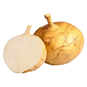 JICAMA DE MEXICO