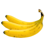 PLATANO MACHO