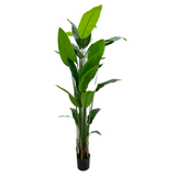 ÁRBOL ARTIFICIAL CANNA 1  PZA.