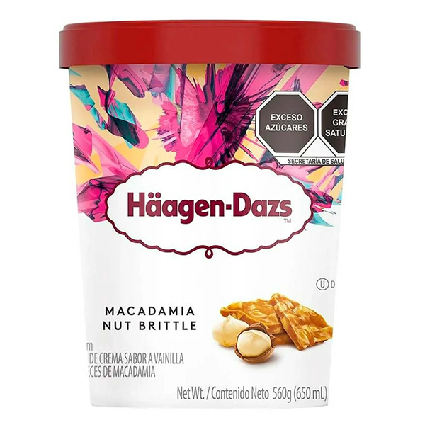 HELADO HAAGEN DAZS MACADAMIA 560  GR.