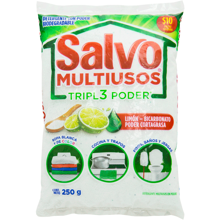 DETERGENTE EN POLVO SALVO MULTIUSOS 250  GR.