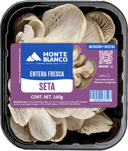 SETA SEL MONTEBLANCO 160  GR.