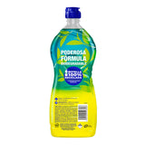 DETERGENTE LIQUIDO LAVATRASTES EFICAZ  FRESCURA FRUTAL 750  ML.