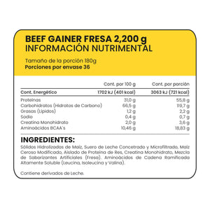 BEEF GAINER FRESA PROWINNER BOLSA 2200  GR.