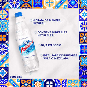 AGUA MINERAL PEÑAFIEL 600  ML.