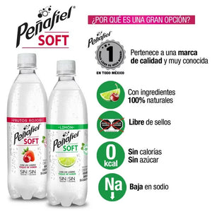 AGUA MINERAL PEÑAFIEL SOFT FRUTOS ROJOS 400  ML.