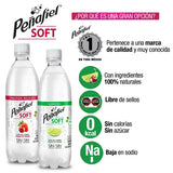 AGUA MINERAL PEÑAFIEL SOFT FRUTOS ROJOS 400  ML.