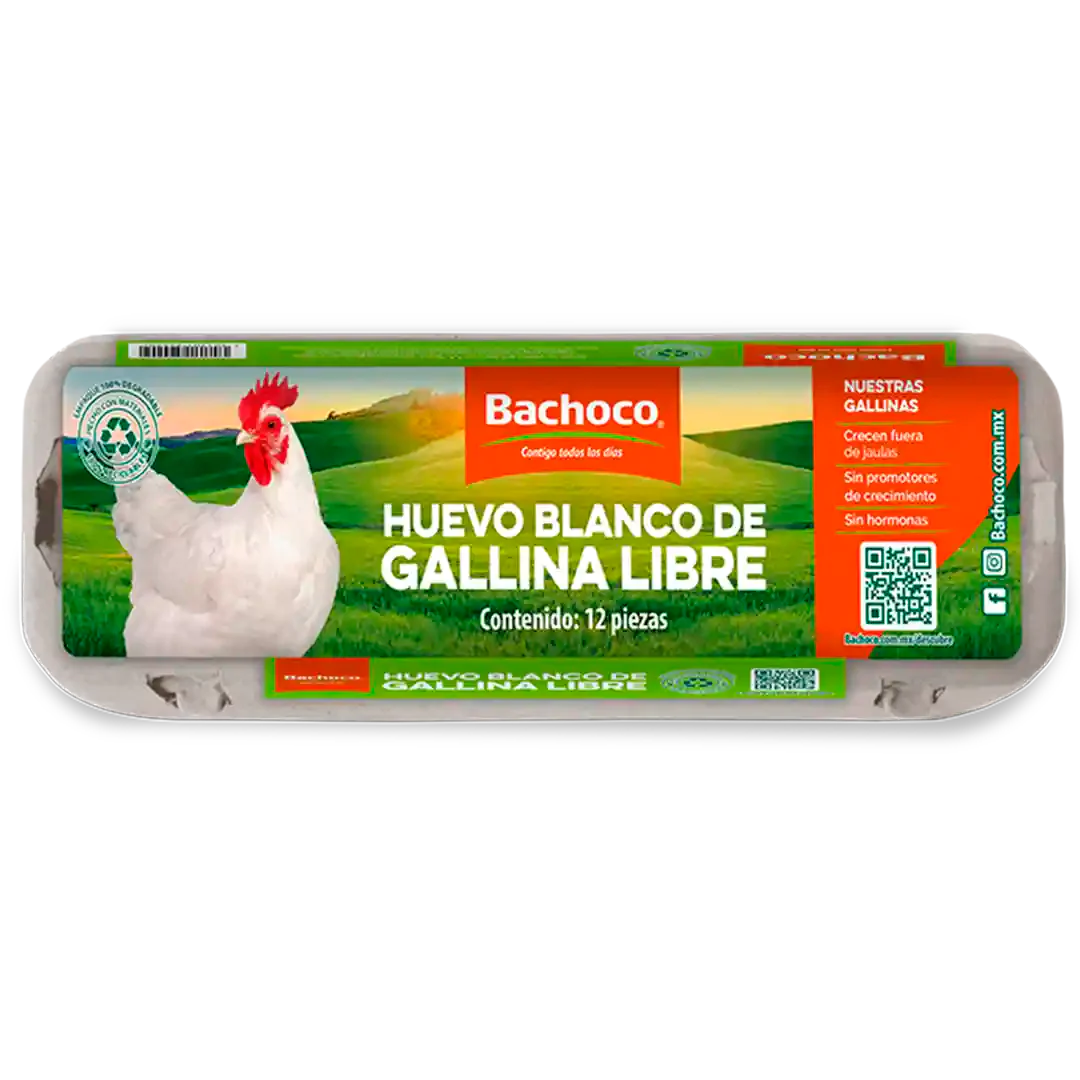 HUEVO BLANCO BACHOCO GALLINA LIBRE 12 PZS 12  PZA.