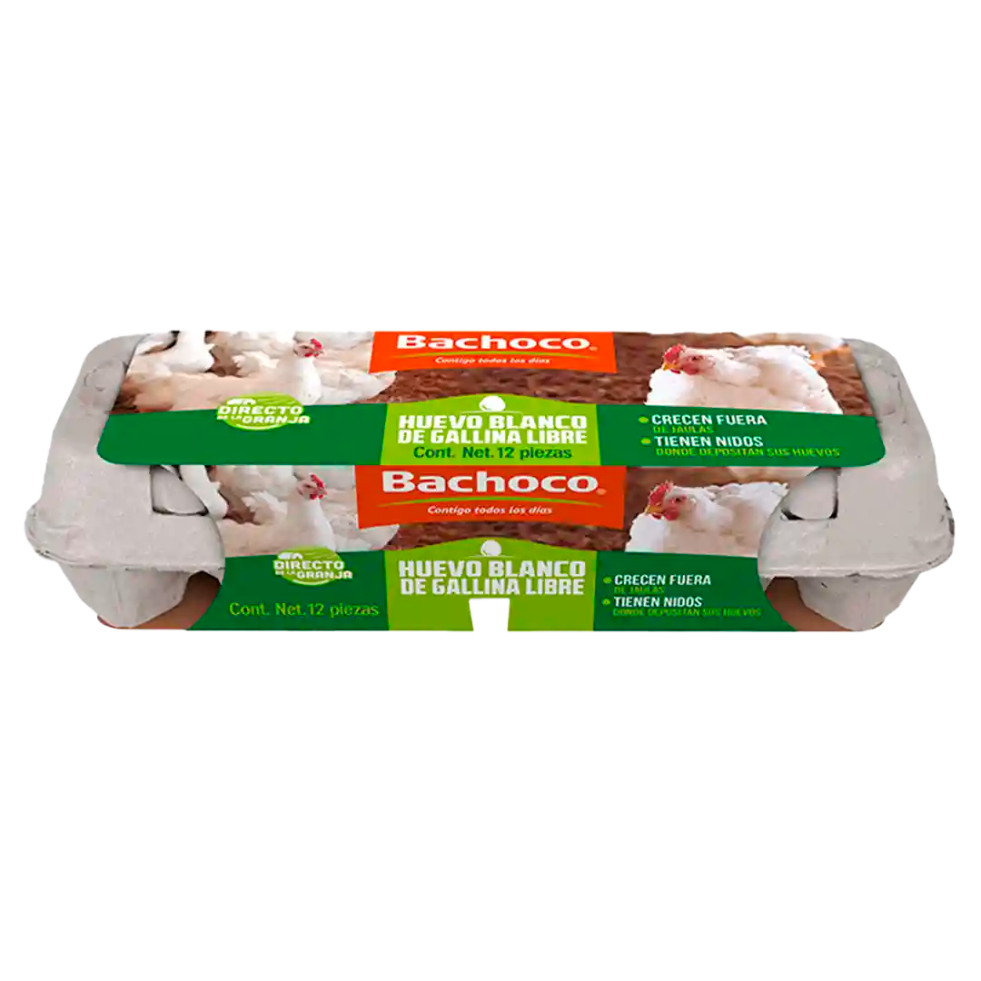 HUEVO BLANCO BACHOCO GALLINA LIBRE 12 PZS 12  PZA.