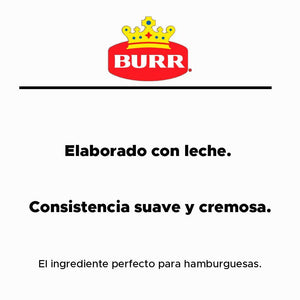 QUESO AMARILLO BURR 144  GR.