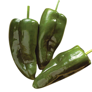 CHILE POBLANO