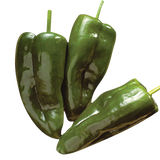 CHILE POBLANO