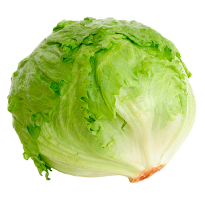 LECHUGA ROMANA 1  PZA.