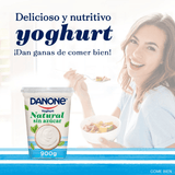 YOGHURT DANONE NATURAL SIN AZUCAR 900  GR.