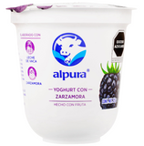 ALPURA YOGHURT CON ZARZAMORA 125 g 125  GR.