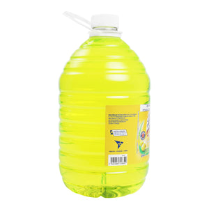 LIMPIADOR DESINFECTANTE  LYSOL LÍQUIDO CITRUS 5  LT.